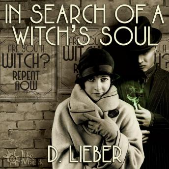 In Search of a Witch's Soul by D. Lieber audiobook
