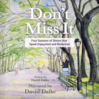 Don't Miss It: Four Seasons of Stories that Spark Enjoyment and Reflection