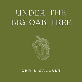 Under the Big Oak Tree