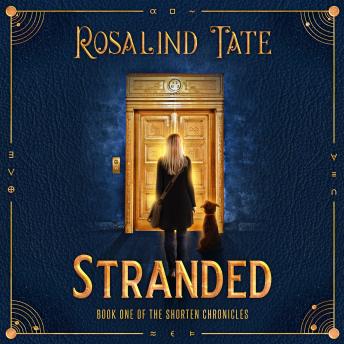Stranded: A Romantic Time Travel Mystery