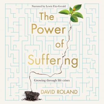 Power Of Suffering, David Roland