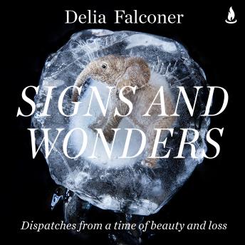 Signs and Wonders: Dispatches from a time of beauty and loss
