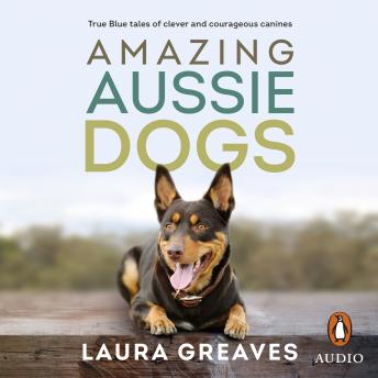 Download Amazing Aussie Dogs by Laura Greaves