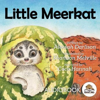 Little Meerkat