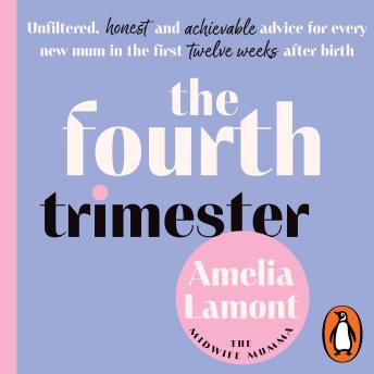The Fourth Trimester: Unfiltered, honest and achievable advice for every new mum in the first twelve weeks after birth