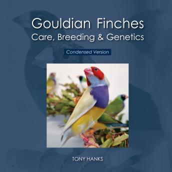 Gouldian Finches Care, Breeding & Genetics: Condensed Version