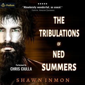 The Tribulations of Ned Summers: Middle Falls Time Travel, Book 9