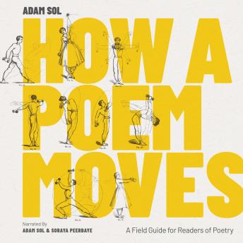How a Poem Moves  sample.