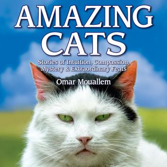 Download Amazing Cats: Stories of Intuition, Compassion, Mystery & Extraordinary Feats by Omar Mouellam