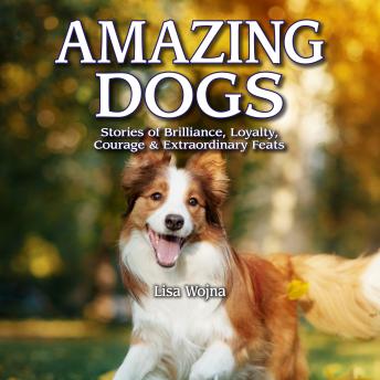 Amazing Dogs: Stories of Brilliance, Loyalty, Courage & Extraordinary Feats