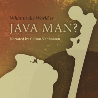 What in the World is Java Man?