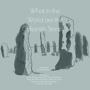 What in the World are Callanish Stones?