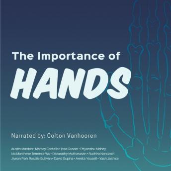 The Importance of Hands