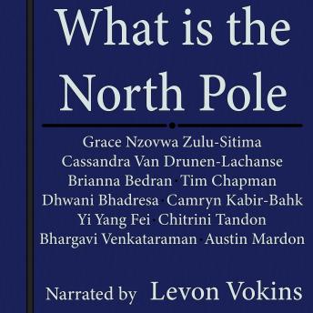 What is the North Pole