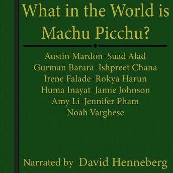 What in the World is Machu Picchu?
