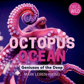 Octopus Ocean: Geniuses of the Deep