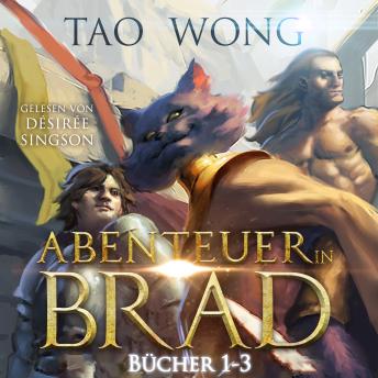 [German] - Abenteuer in Brad Bücher 1-3