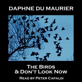 Birds & Don't Look Now sample.