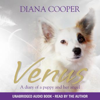 Venus: A diary of a puppy and her angel