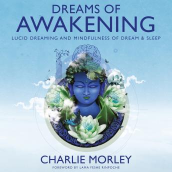 Dreams of Awakening: Lucid Dreaming and Mindfulness of Dream and Sleep