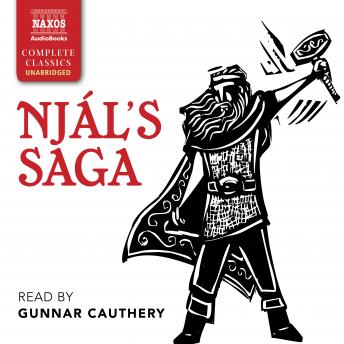 Njál's Saga, Audio book by Anonymous 