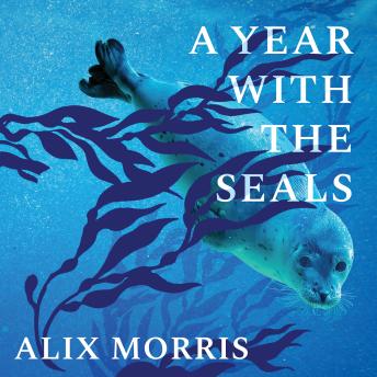Listen Free to Year with the Seals: Unlocking the Secrets of the Sea's ...