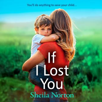 If I Lost You - A BRAND NEW unforgettable story of love and hope from Sheila Norton for 2025 (Unabridged)