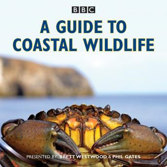 A Guide to Coastal Wildlife: The BBC Radio 4 series