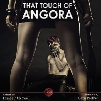 That Touch of Angora