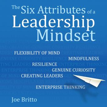 Six Attributes of a Leadership Mindset: Flexibility of mind, mindfulness, resilience, genuine curiosity, creating leaders, enterprise thinking