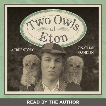 Two Owls At Eton - A True Story