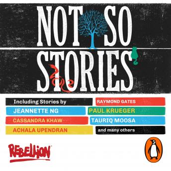 Not So Stories, Audio book by David Moore