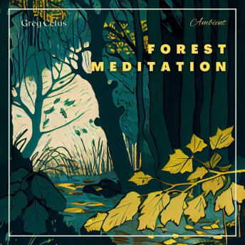 Forest Meditation