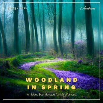 Woodland in Spring: Ambient Soundscape for Mindfulness