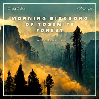 Morning Birdsong of Yosemite Forest: Ambient Soundscape