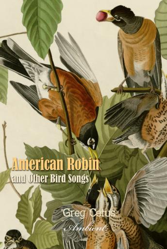 American Robin and Other Bird Songs: Nature Sounds for Mindfulness