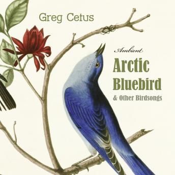 Arctic Bluebird and Other Birdsongs: Ambient Soundscape for Meditation