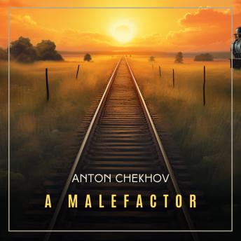 A Malefactor