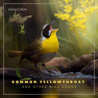 Common Yellowthroat and Other Bird Songs: Nature Sounds for Mindfulness and Reflection