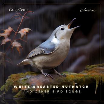 White-breasted Nuthatch and Other Bird Songs: Ambient Audio for Holistic Living