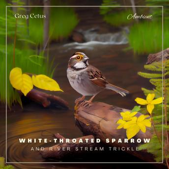 White-throated Sparrow and River Stream Trickle: Morning Birdsongs and Water Streams for Peace and Relaxation