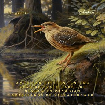 American Bittern Singing Near Delicate Babbling Stream in Canadian Grasslands of Saskatchewan: Ambient Audio for Deep Sleep and Relaxation