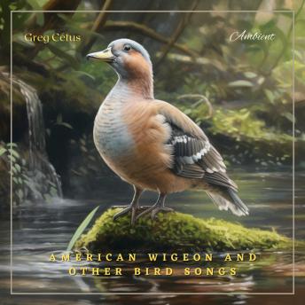 American Wigeon and Other Bird Songs: Ambient Audio from Canadian Wetlands
