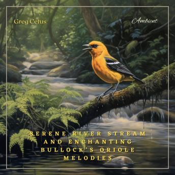 Serene River Stream and Enchanting Bullock’s Oriole Melodies: Ambient Audio from Californian Woodland