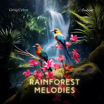 Rainforest Melodies: Mindful Birdsong and Light Rain for Relaxation