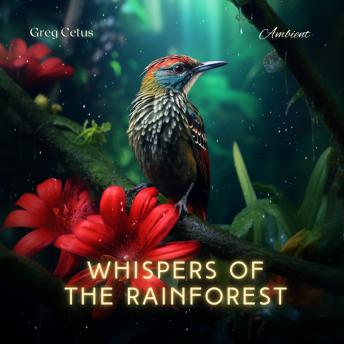 Whispers of the Rainforest: Mindful Birdsong and Light Sounds for Bedtime Tranquillity