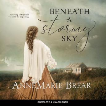 Download Beneath a Stormy Sky by Annemarie Brear