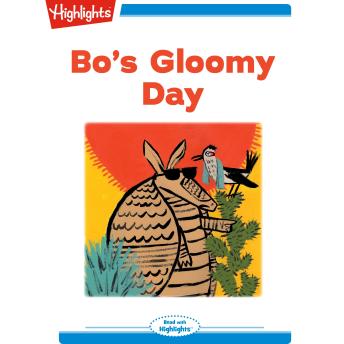 Bo's Gloomy Day