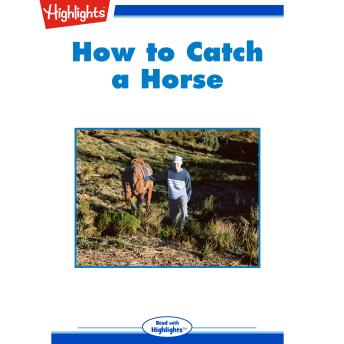 How to Catch a Horse