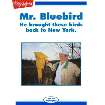 Mr. Bluebird